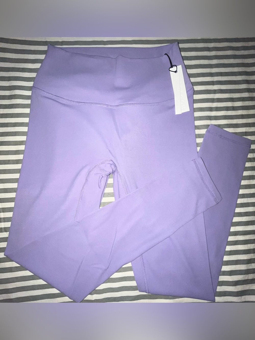 Paragon Fitwear RecStretch SculptSeam Icon Plus Legging in Lavender Size M